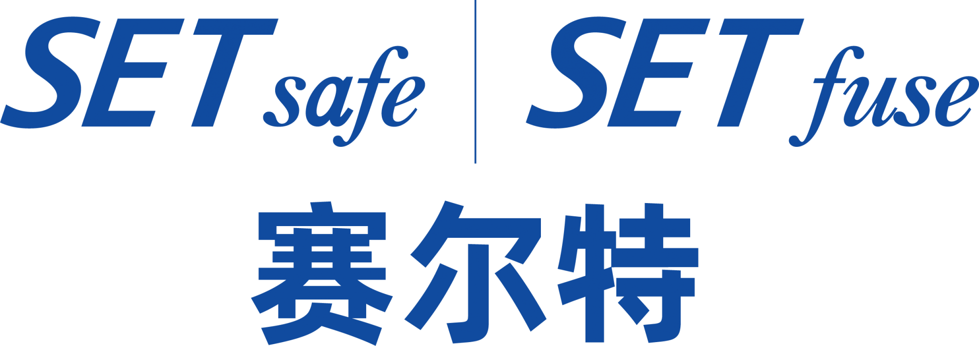 厦门赛尔特电子有限公司